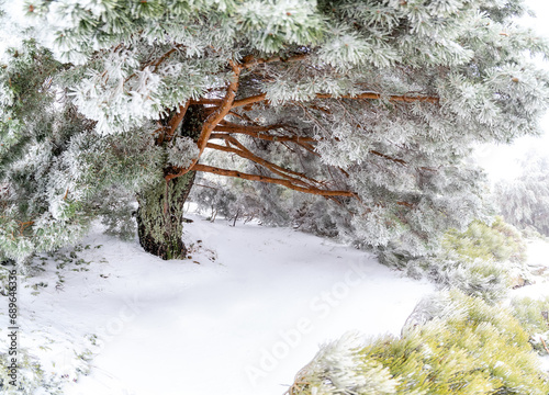 first snowfall of the year 2023 in the Sierra de Guadarrama in Madrid, Spain