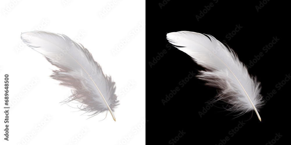 Realistic translucent white feather isolated on transparent background. 