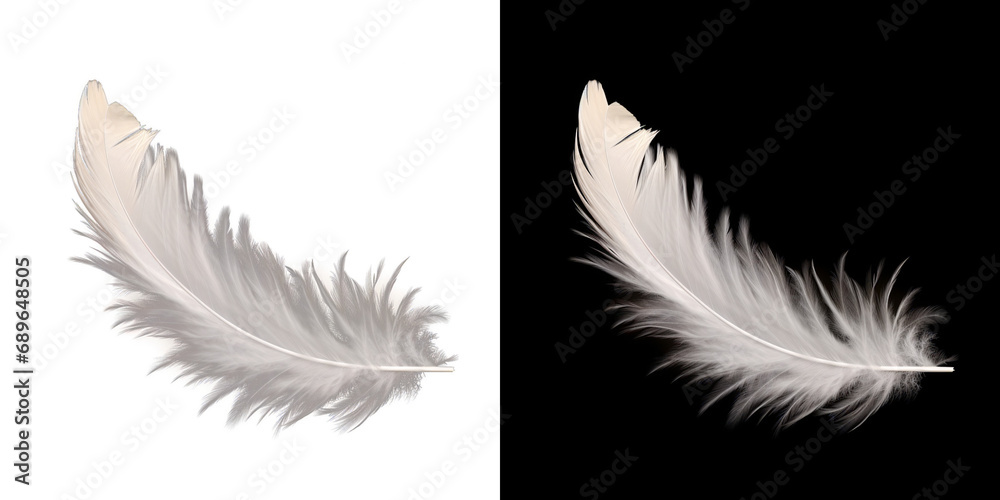 Obraz premium Realistic translucent white feather isolated on transparent background. 