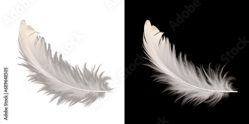 Realistic translucent white feather isolated on transparent background. © TimeaPeter