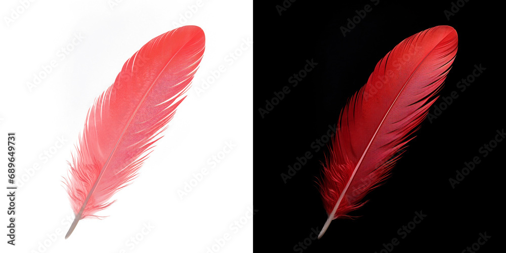 Realistic translucent red feather isolated on transparent background - obrazy, fototapety, plakaty 