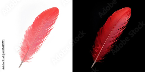 Realistic translucent red feather isolated on transparent background photo