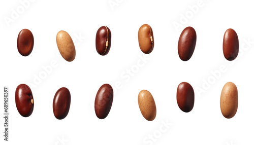 beans isolated on transparent background cutout