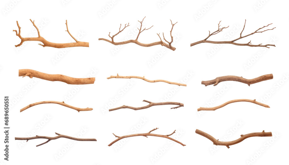 set of a branch isolated on transparent background cutout set of a branch isolated on transparent background cutout