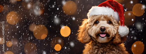 Cute canine makes festive greetings special. photo