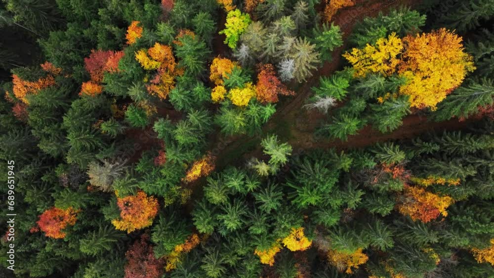Aerial view of the fall foliage in the forests near Graz, Semriah, Styria, Austria Aerial view of the fall foliage in the forests near Graz, Semriah, Styria, Austria