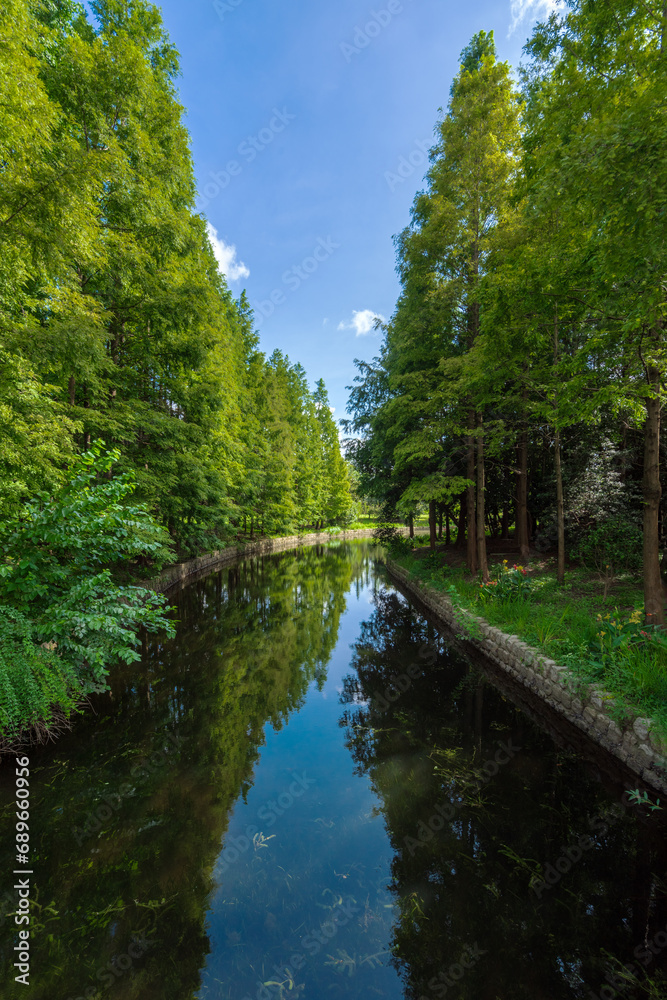 river in the forest river in the forest