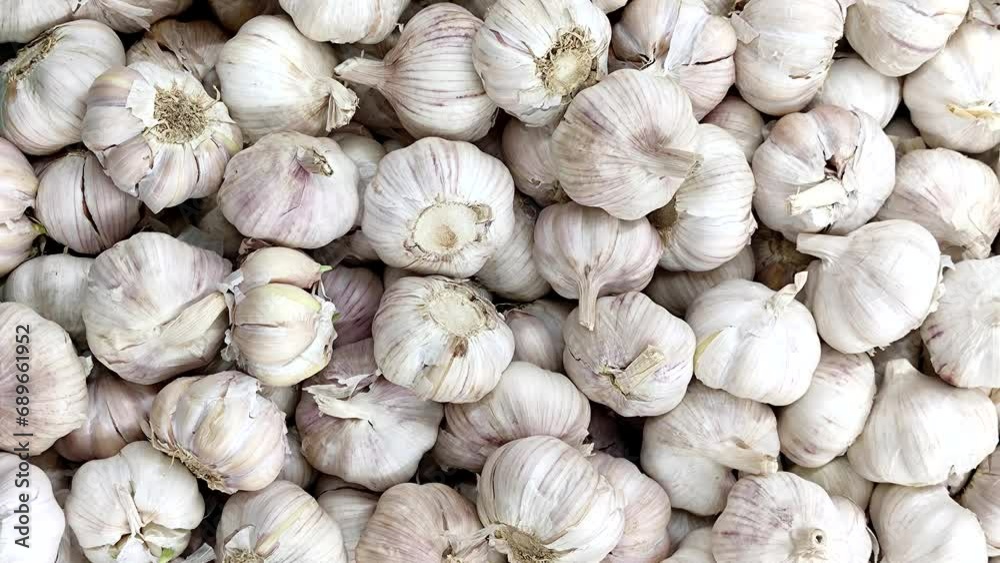 Garlic pattern for decoration, design and advertising. Garlic pattern for decoration, design and advertising.