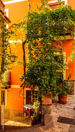 Fototapeta Naklejka Na Ścianę i Meble -  beautiful towh of Italy landscape with ladder with stairs down between nice balconies , walls with green plants and amazing attributes