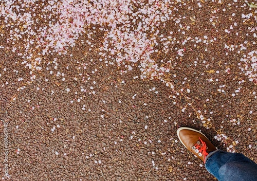 桜の花びらの散った地面と足元