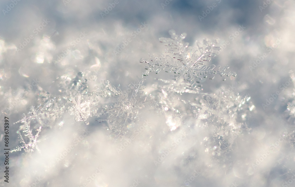White snowflakes in winter as an abstract background. Texture White snowflakes in winter as an abstract background. Texture