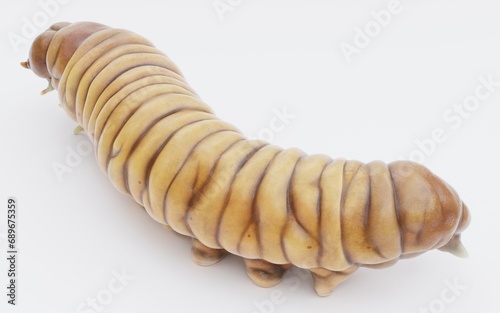 Realistic 3D Render of Wax Worm photo