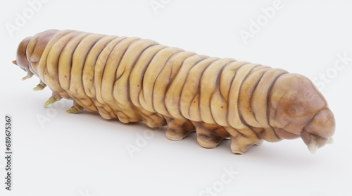 Realistic 3D Render of Wax Worm