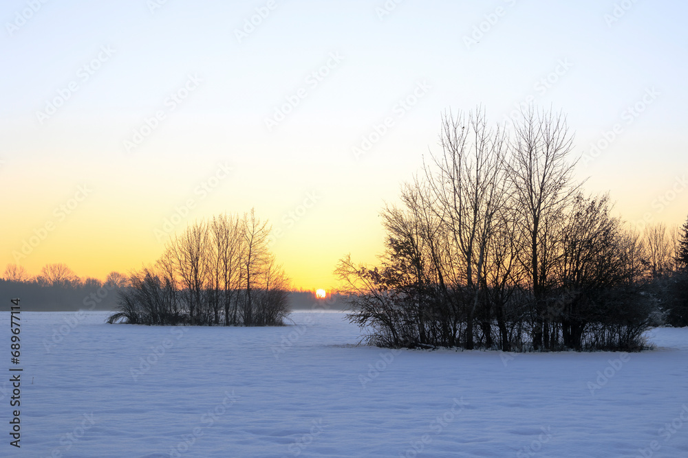 Snow-covered meadows in Siebenbrunn near Augsburg at sunrise with trees and bushes against a coloured sky