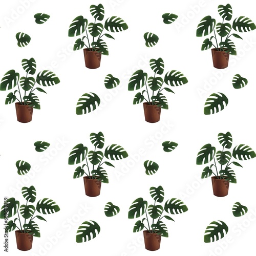 Home plant illustration Monstera seamless pattern white background