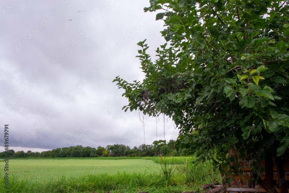 Fototapeta premium fondos y calles