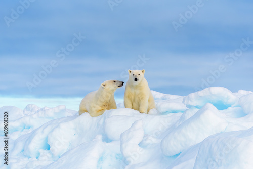 Polar bear mother and cub, seen on sea ice