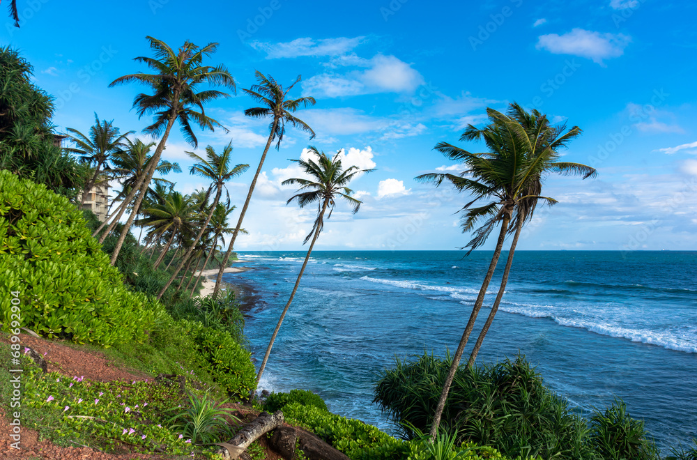 Beautiful Indian Ocean coastline on the island of Sri Lanka, Mirissa.