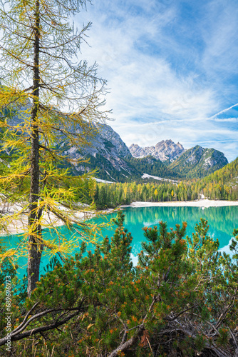 Scenic view of a golden larch tree on the shore of a turquoise colored alpine lake in the European Alps photo