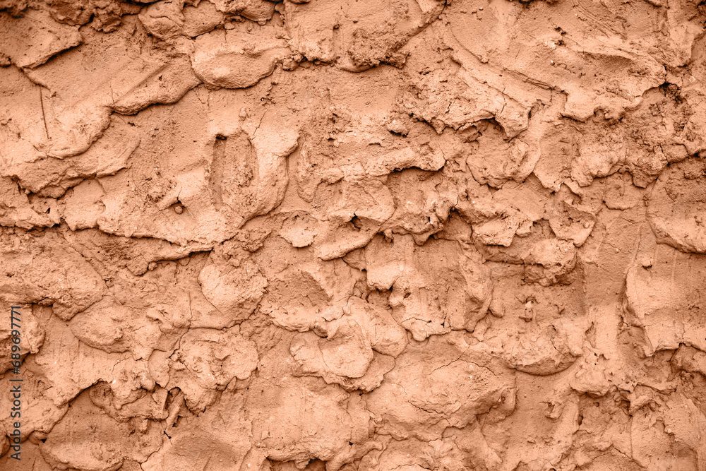 Obraz premium texture of the bark