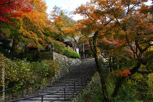 Hasedera Temple and Beautiful Autumn Japanese Garden in Nara  Japan -                                     