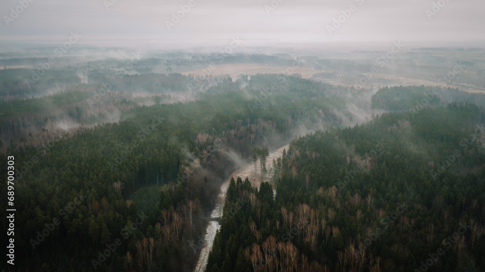 Aerial view in Latvia, pine forest during foggy evening.