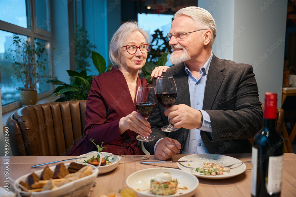 Cute aged couple clinking wineglasses celebrating Christmas together Cute aged couple clinking wineglasses celebrating Christmas together