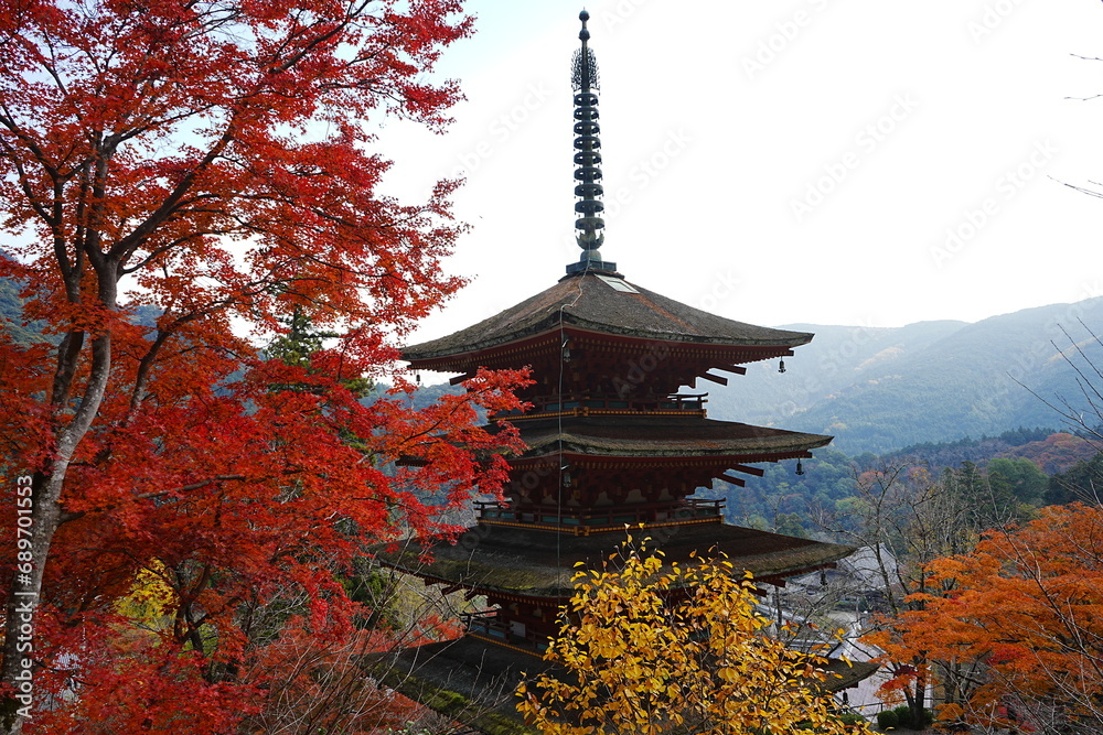 Naklejka premium Hasedera Temple and Beautiful Autumn Japanese Garden in Nara, Japan - 日本 奈良 長谷寺 五重塔 秋の景色