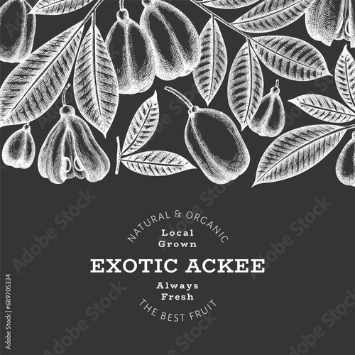 Hand drawn sketch style ackee banner. Organic fresh food vector illustration on chalk board. Retro exotic fruit design template. Engraved style botanical background.