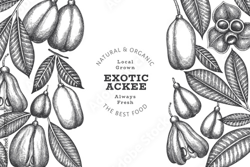 Hand drawn sketch style ackee banner. Organic fresh food vector illustration. Retro exotic fruit design template. Engraved style botanical background. photo