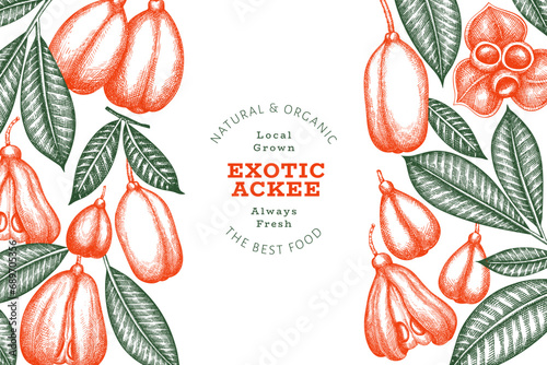 Hand drawn sketch style ackee banner. Organic fresh food vector illustration. Retro exotic fruit design template. Engraved style botanical background.