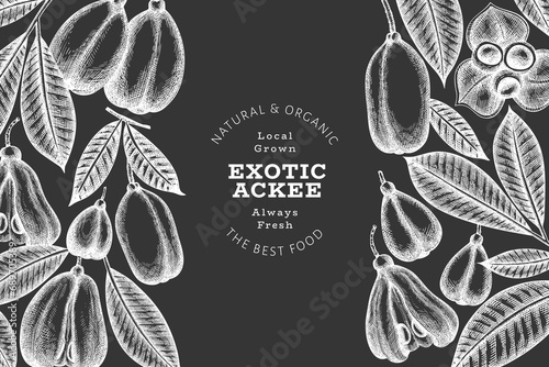 Hand drawn sketch style ackee banner. Organic fresh food vector illustration on chalk board. Retro exotic fruit design template. Engraved style botanical background.