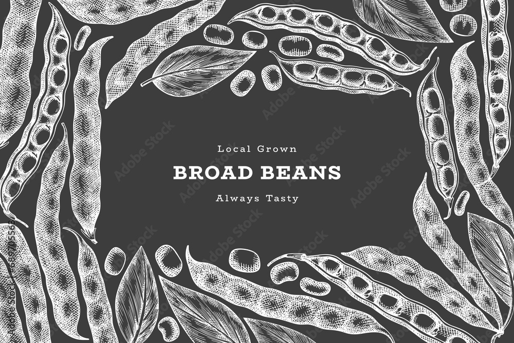 Hand drawn broad beans design template. Organic fresh food vector illustration on chalk board. Retro pods illustration. Botanical style cereal background. - obrazy, fototapety, plakaty 