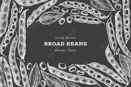 Hand drawn broad beans design template. Organic fresh food vector illustration on chalk board. Retro pods illustration. Botanical style cereal background.