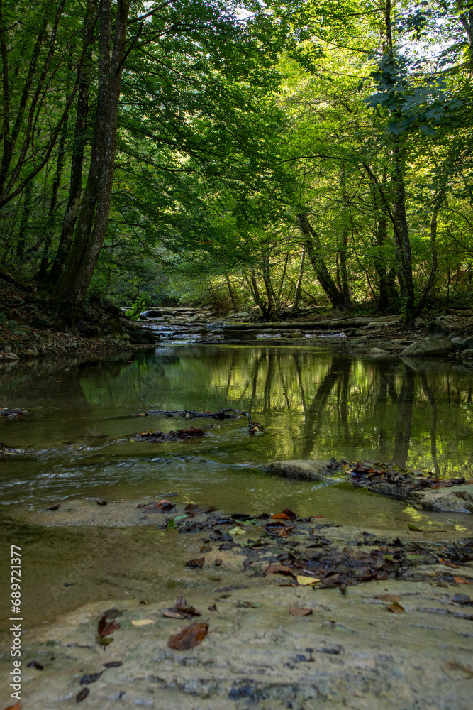 Passeggiate nel Parco nazionale Foreste Casentinesi, al confine tra Emilia Romagna e Toscana, Italia Passeggiate nel Parco nazionale Foreste Casentinesi, al confine tra Emilia Romagna e Toscana, Italia