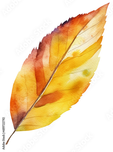 Watercolor illustration of a autumn leaf. Transparent background  png. Ai generated.