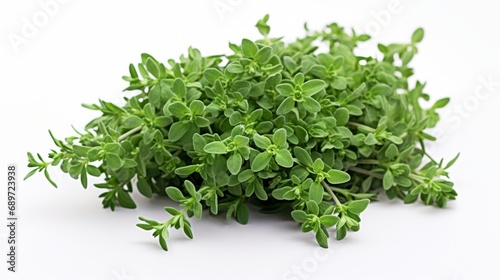 a bunch of fresh green oregano leaves on a white background.