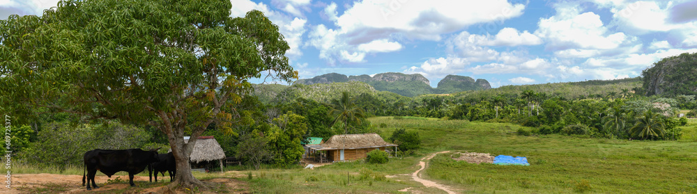 View of rural countryside at Vinales in Cuba