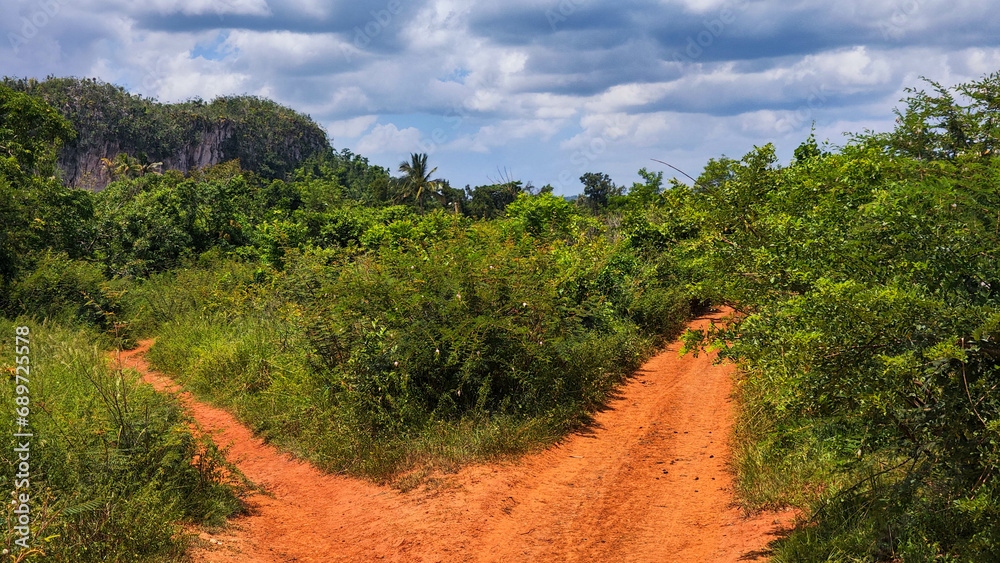 View of rural countryside at Vinales in Cuba View of rural countryside at Vinales in Cuba