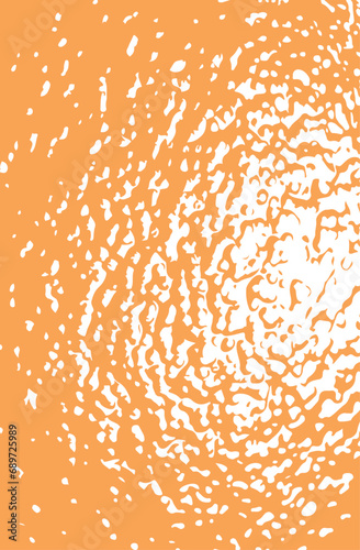 Orange texture background. Citrus design. Vector illustartion.