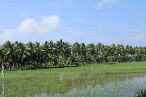 Photography Capture the essence of nature's bounty through enchanting photographs of a serene farmstead, a lush palm tree garden, and a pristine water source