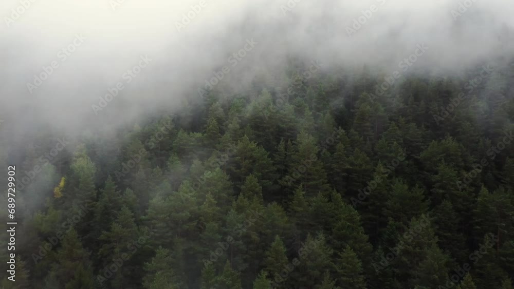 flying over the forest in the mountains with floating fog flying over the forest in the mountains with floating fog