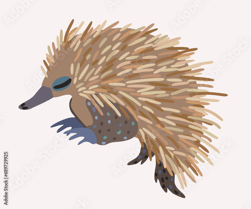 Vector cute illustration of echidna isolated on light background.