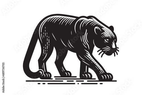 Beautiful black panther. vintage engraving, vector monochrome illustration. woodcut