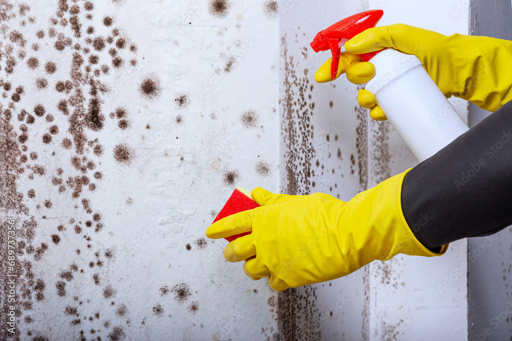cleaning-the-wall-with-the-help-of-a-sprayer-from-spots-of-toxic-mold