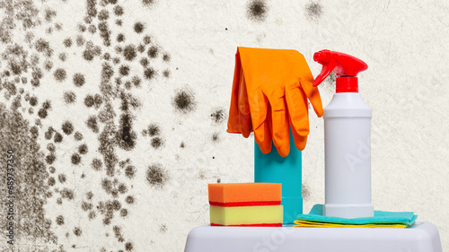 Accessories for cleaning from stains of poisonous bacteria mold and fungus on the background of a moldy wall with copy space for text. Rubber protective gloves, anti-mold spray and sponge