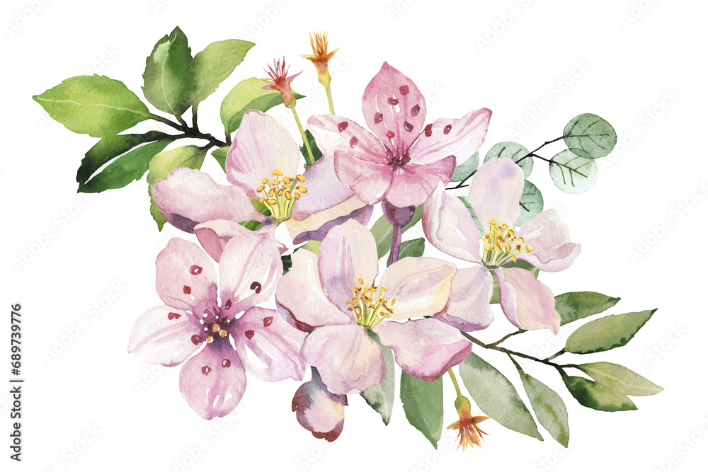 Fototapeta premium Watercolor spring sakura pink flowers and leaves branch. Hand painted realistic botanical illustration isolated on white background for cards, invitations and posters