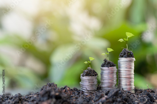 Growing Money - Plants on Coins pile silver coins with green nature background. Concept of saving money, economy, investment, growing business and wealth. © Natalia