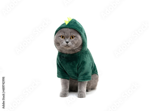 British cat in green dinosaur or dragon costume isolated on white background. Funny fat cat in clothes.