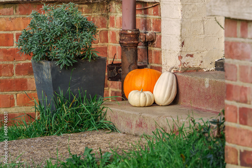 An autumn and Halloween concept of a pumpkin and a gourd on a brick step. The orange and white colors contrast with the rusty pipe and the green plant in the background © Александр Бочкала